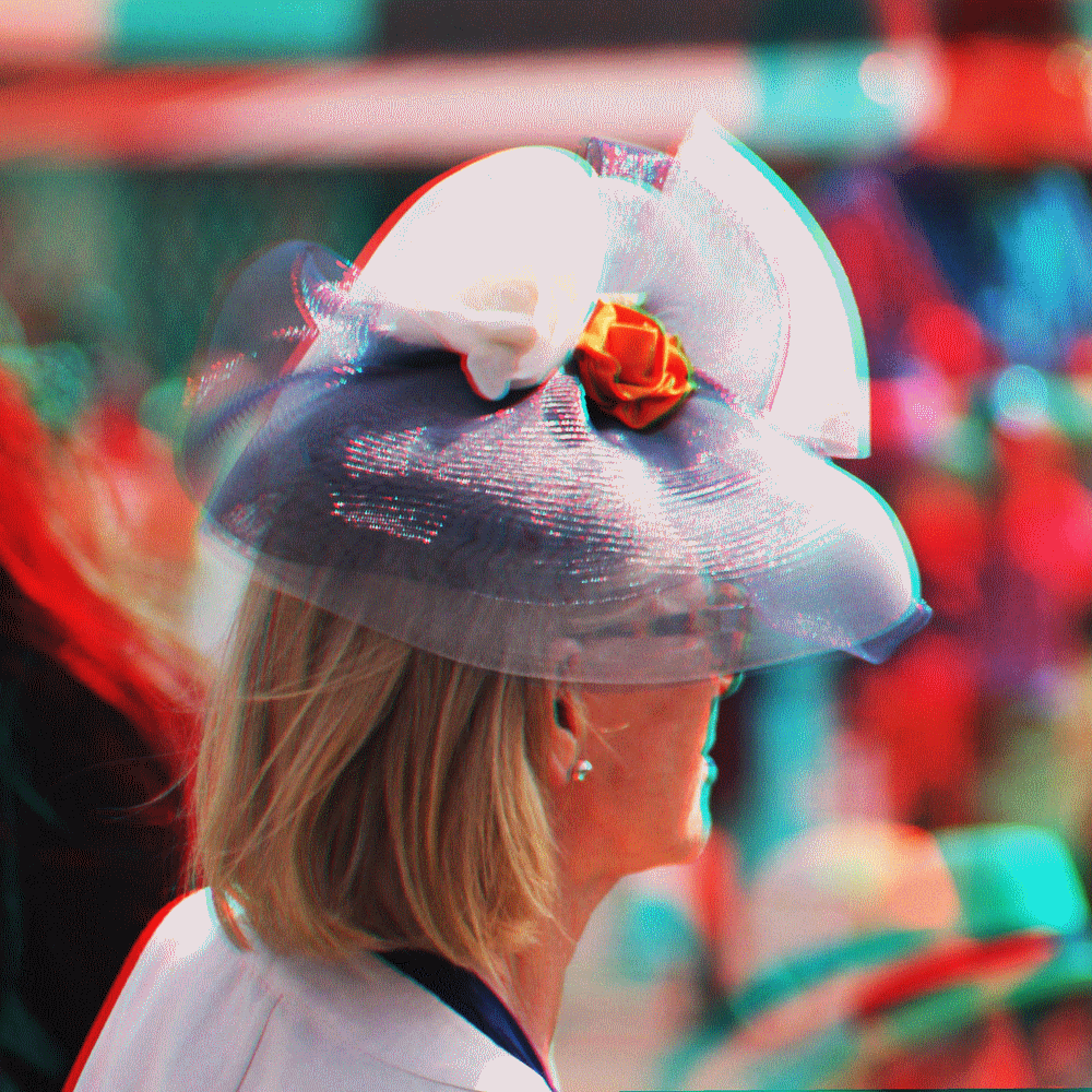 diane_2014
